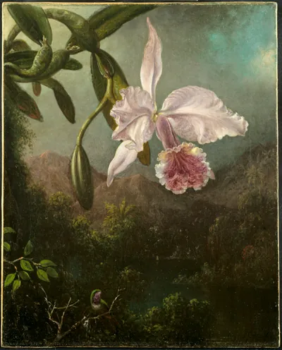Orchid Blossoms — Martin Johnson Heade (1873) — oil on canvas, Cleveland Museum of Art
